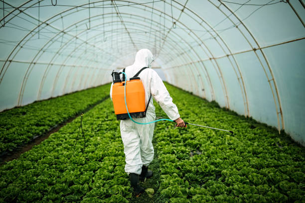 Professional Pest Control in Parkland, FL