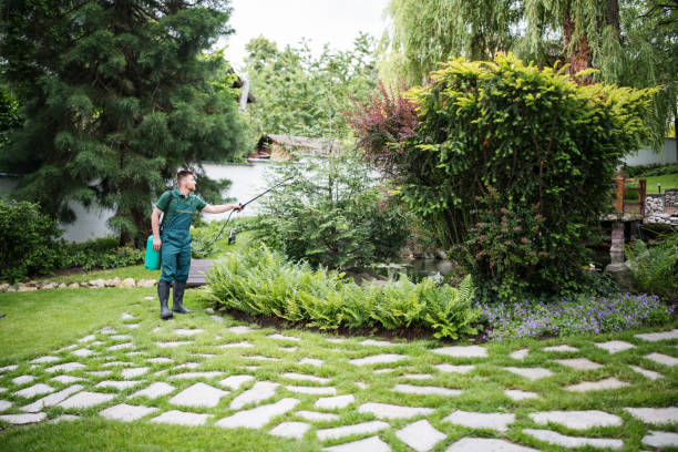Best Pest Removal Services  in Parkland, FL