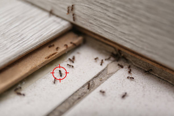 Best Residential Pest Control  in Parkland, FL