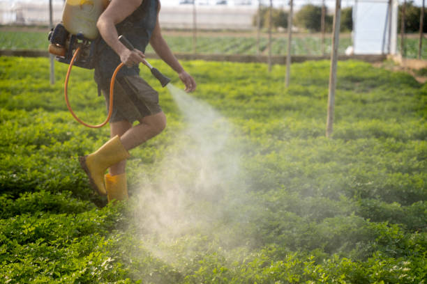 Best Insect Control  in Parkland, FL