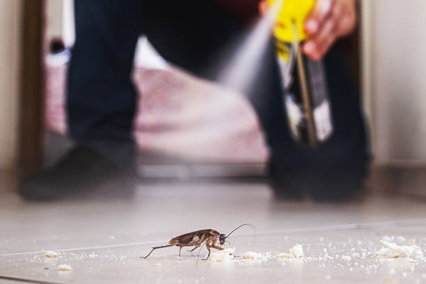 Best Commercial Pest Control Services  in Parkland, FL
