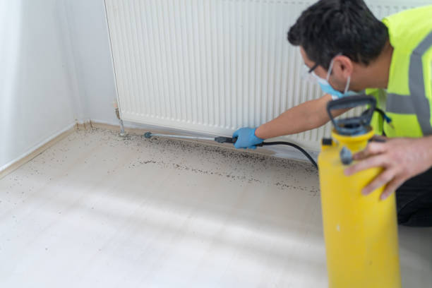 Best Wasp Removal Services  in Parkland, FL
