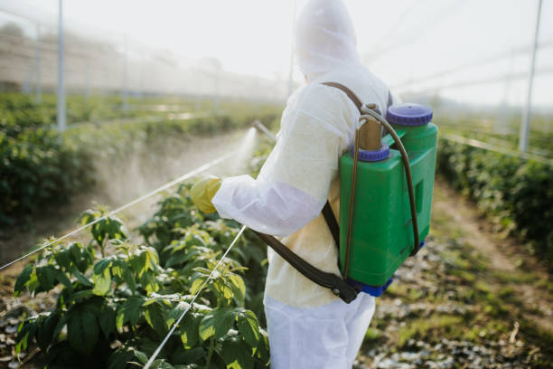 Best Pest Inspection Near Me  in Parkland, FL